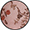 Pink Floral
