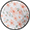 White Pink Floral