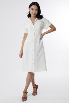 Dress Collar Button Down