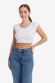 Ultimate Shortee