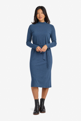 Raglan Sleeve Mock Neck Sapphire Modest Dress